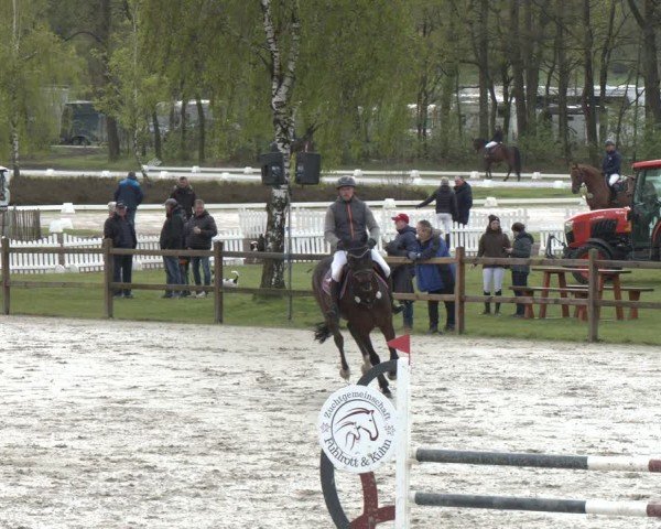 Reitturnier Westergellersen 2024