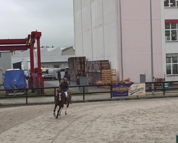 Reitturnier Sulgen 2024