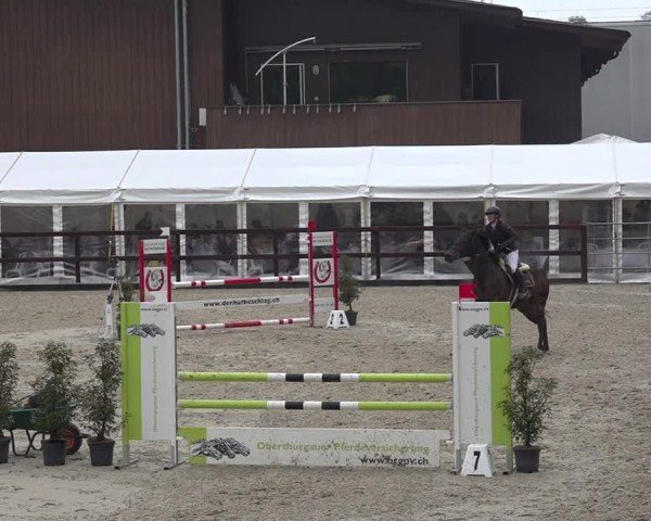 Reitturnier Sulgen 2024