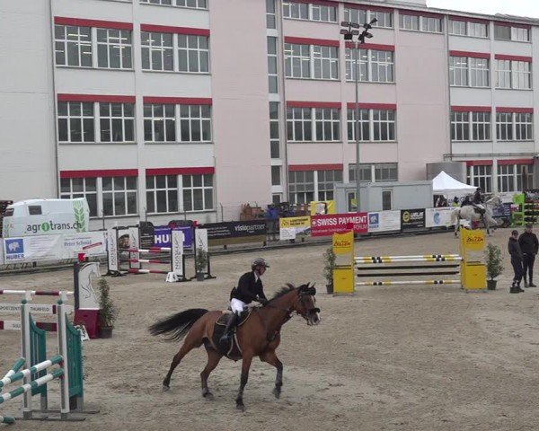 Reitturnier Sulgen 2024