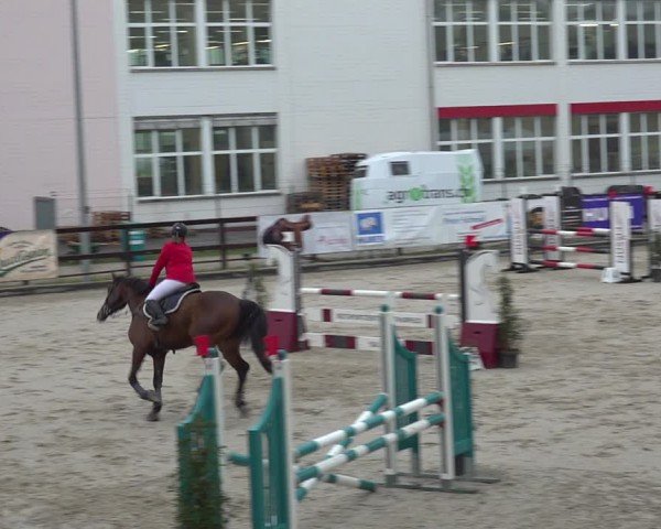 Reitturnier Sulgen 2024