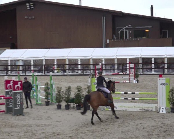 Reitturnier Sulgen 2024