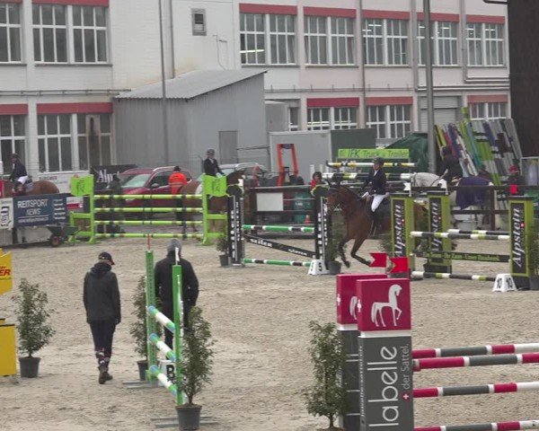 Reitturnier Sulgen 2024
