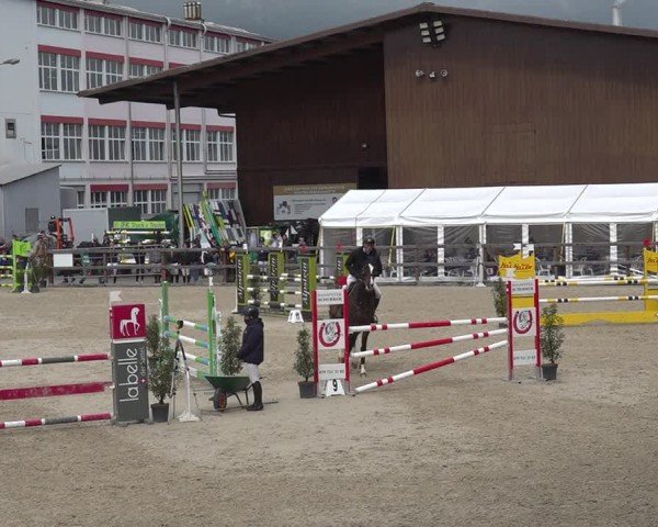Reitturnier Sulgen 2024