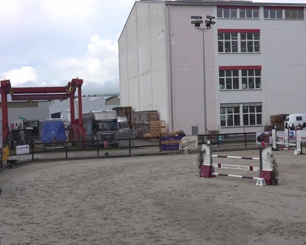 Reitturnier Sulgen 2024