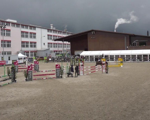 Reitturnier Sulgen 2024