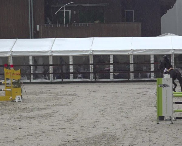 Reitturnier Sulgen 2024