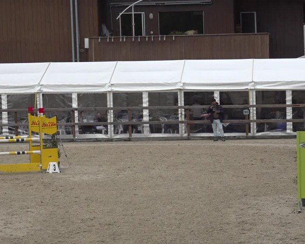 Reitturnier Sulgen 2024