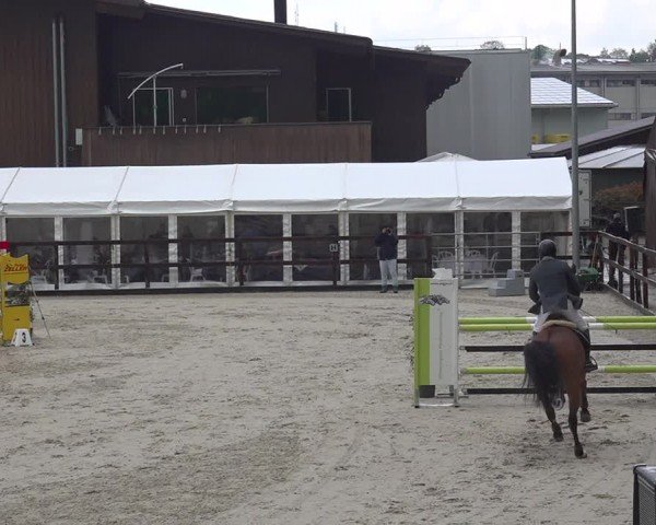 Reitturnier Sulgen 2024