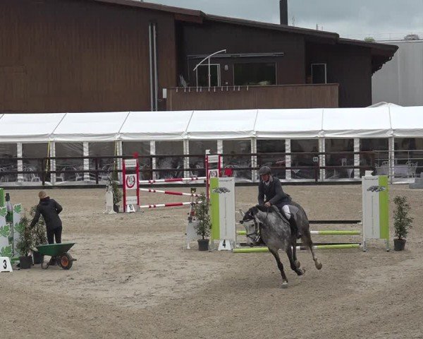 Reitturnier Sulgen 2024