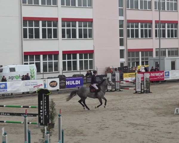 Reitturnier Sulgen 2024