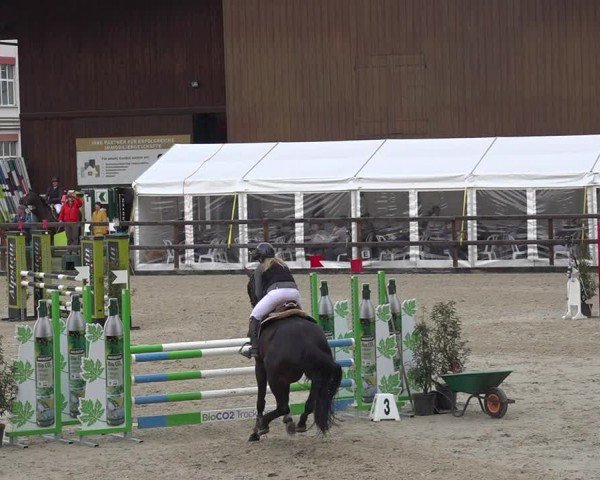 Reitturnier Sulgen 2024