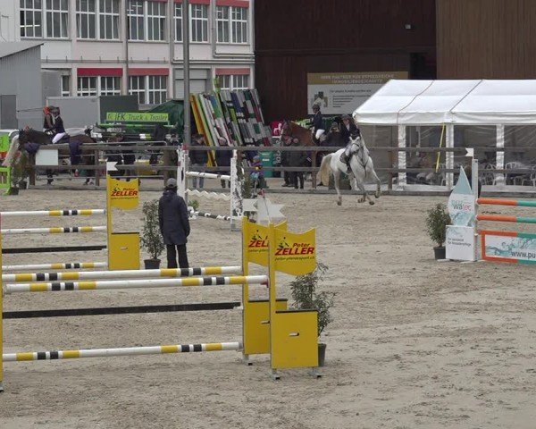 Reitturnier Sulgen 2024
