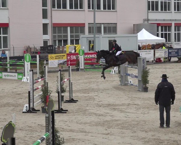 Reitturnier Sulgen 2024