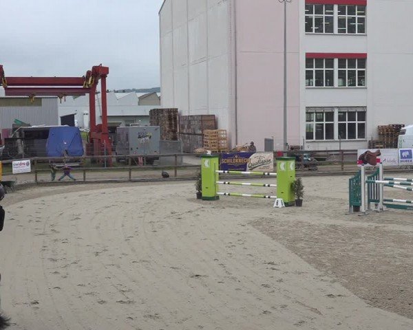 Reitturnier Sulgen 2024