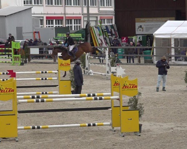 Reitturnier Sulgen 2024