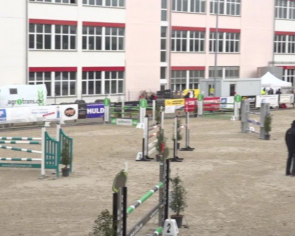 Reitturnier Sulgen 2024