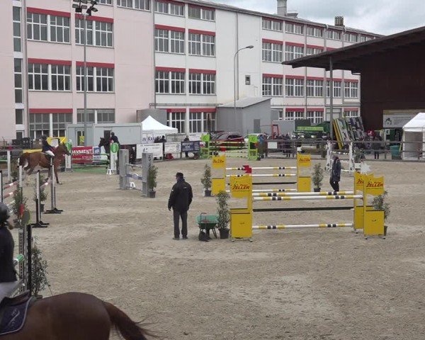 Reitturnier Sulgen 2024