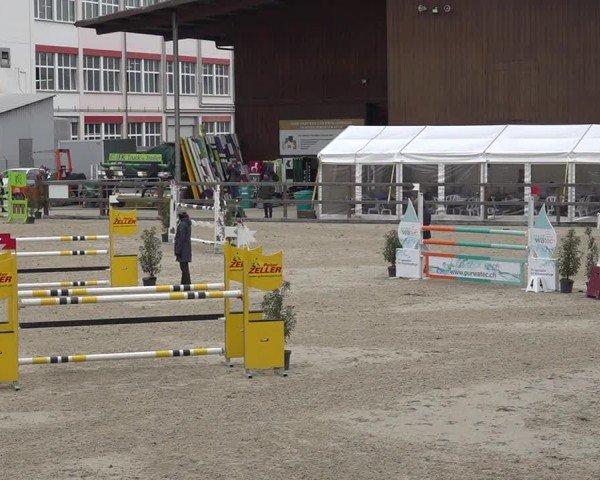 Reitturnier Sulgen 2024