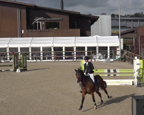 Reitturnier Sulgen 2024