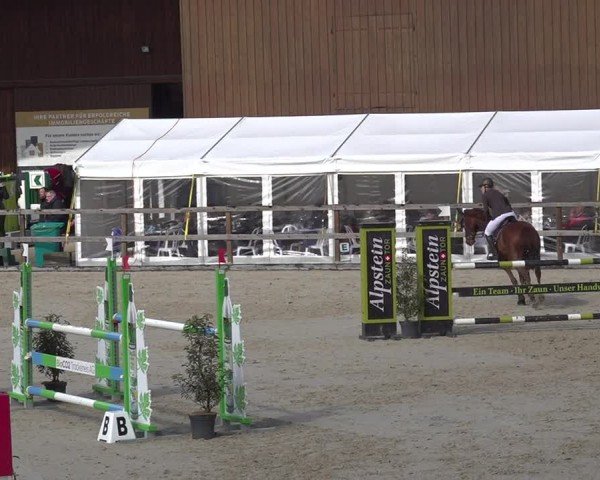 Reitturnier Sulgen 2024