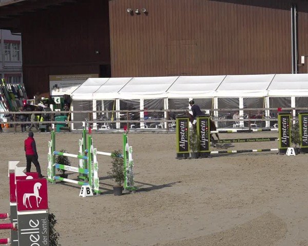 Reitturnier Sulgen 2024