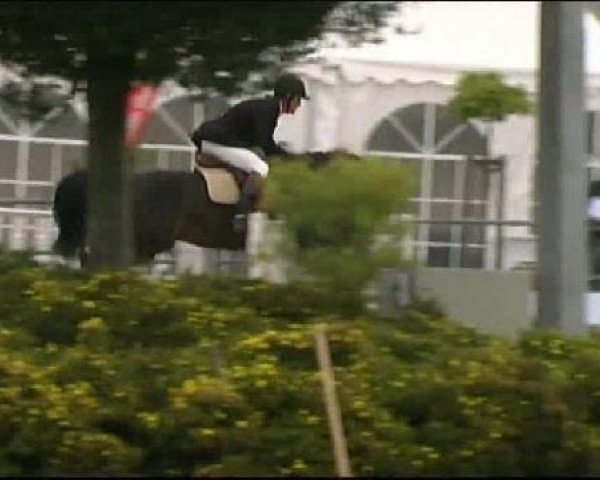 Vosswinkeler Reitertage CSN 2011