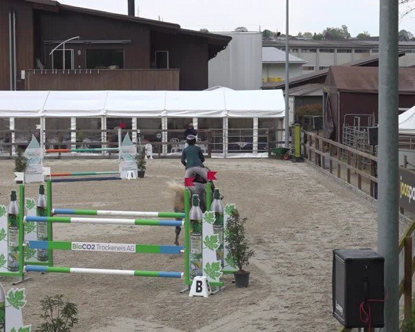 Reitturnier Sulgen 2024