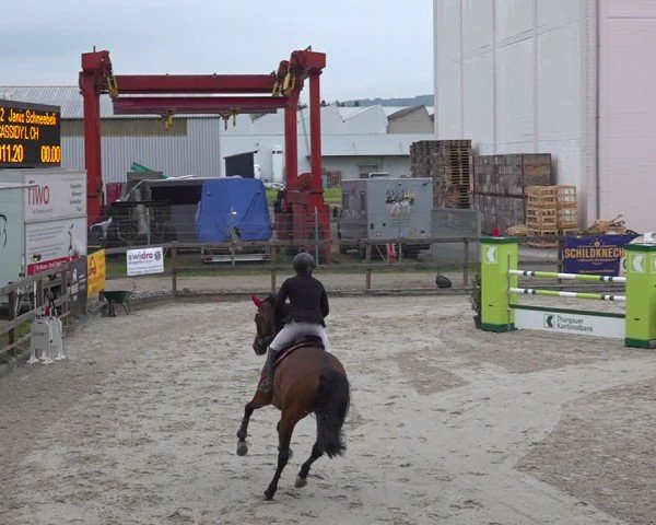 Reitturnier Sulgen 2024