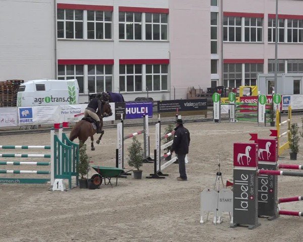 Reitturnier Sulgen 2024
