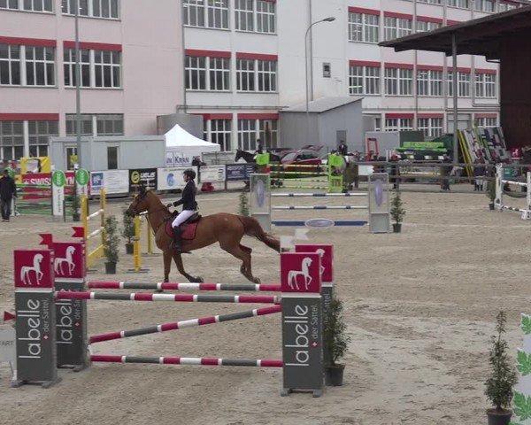 Reitturnier Sulgen 2024