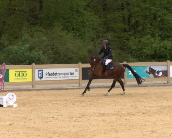 Reitturnier Tiefenhof/Opf. 2024