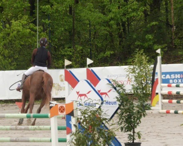 Reitturnier Neunkirchen-City 2024