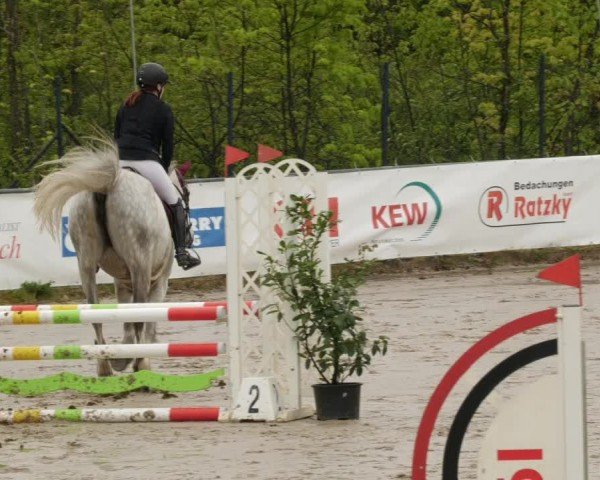 Reitturnier Neunkirchen-City 2024