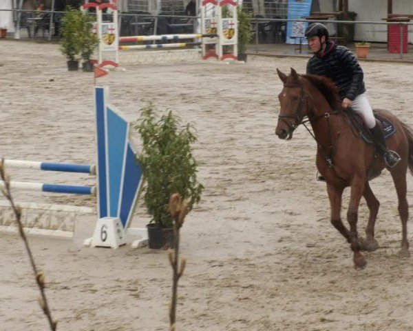 Reitturnier Neunkirchen-City 2024