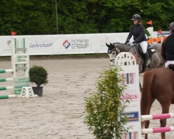 Reitturnier Neunkirchen-City 2024