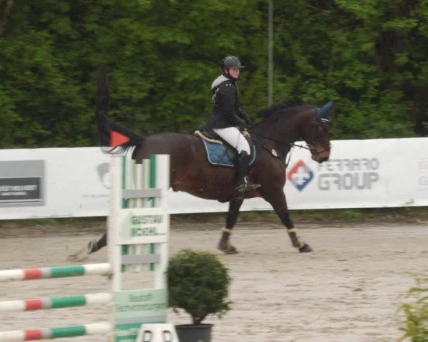 Reitturnier Neunkirchen-City 2024