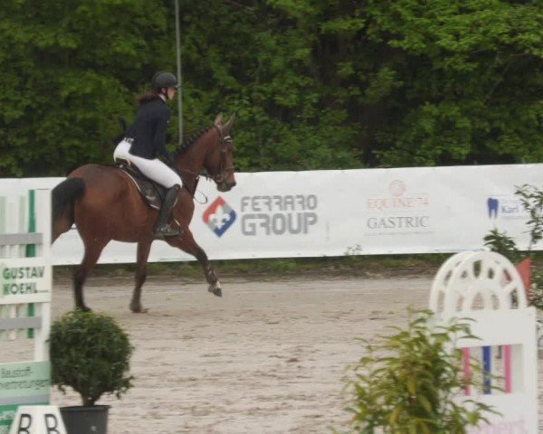 Reitturnier Neunkirchen-City 2024