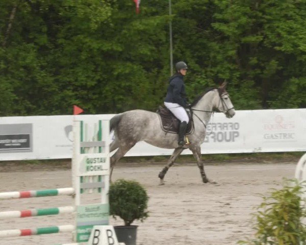 Reitturnier Neunkirchen-City 2024