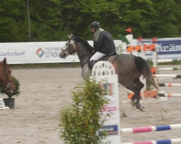 Reitturnier Neunkirchen-City 2024