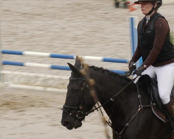 Reitturnier Neunkirchen-City 2024