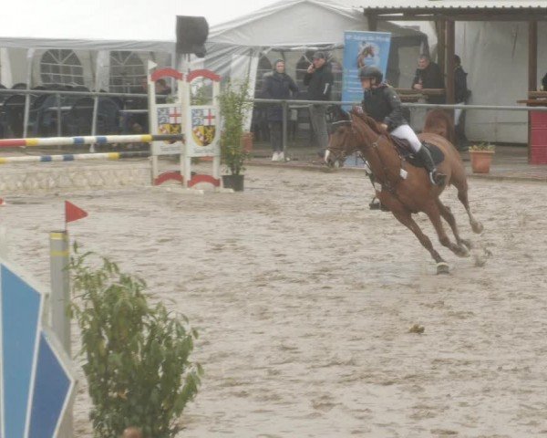Reitturnier Neunkirchen-City 2024