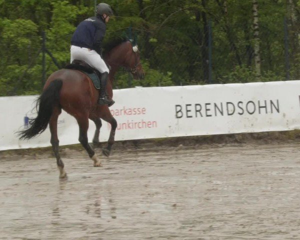 Reitturnier Neunkirchen-City 2024