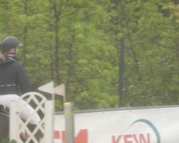 Reitturnier Neunkirchen-City 2024
