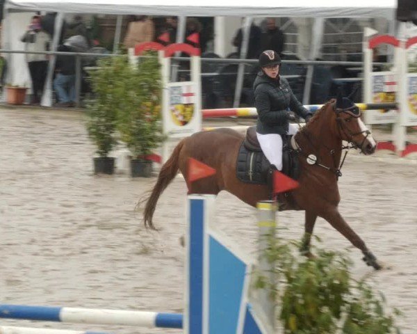Reitturnier Neunkirchen-City 2024