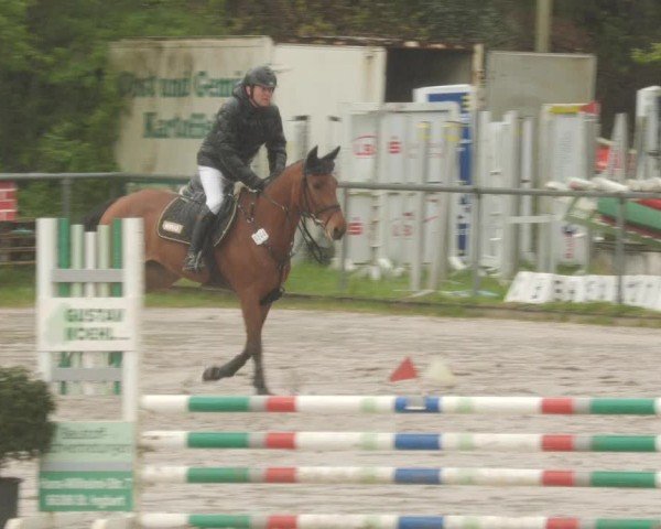 Reitturnier Neunkirchen-City 2024