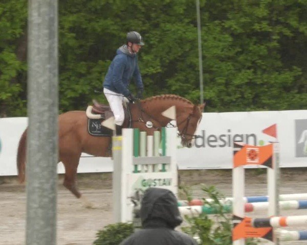 Reitturnier Neunkirchen-City 2024