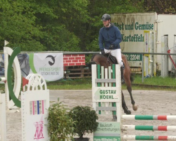 Reitturnier Neunkirchen-City 2024
