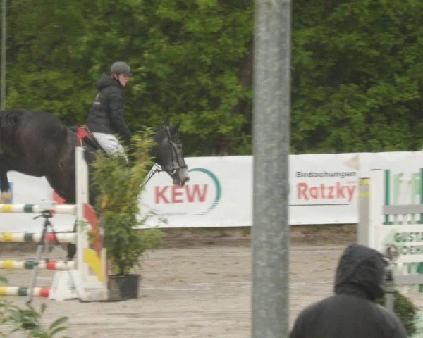 Reitturnier Neunkirchen-City 2024