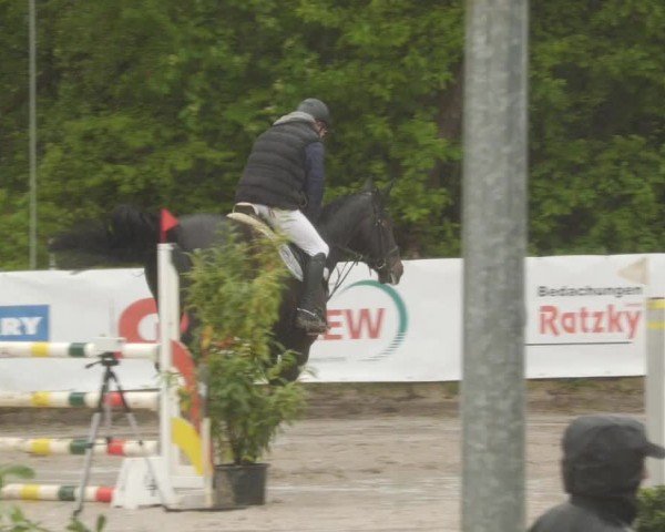 Reitturnier Neunkirchen-City 2024